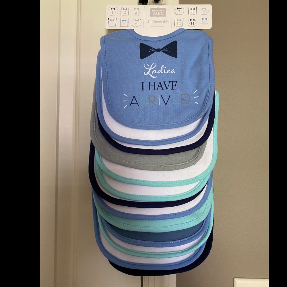Hudson Baby bibs